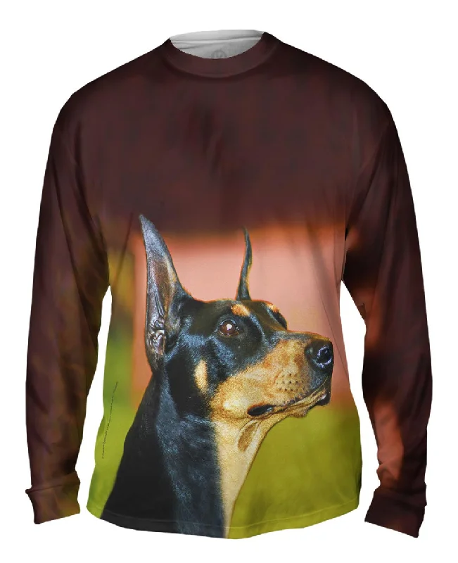 Aspirational Doberman