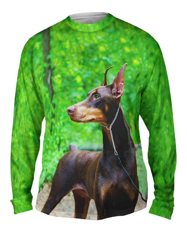 Doberman Pinscher Perfection